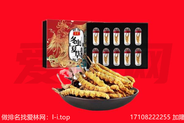 凉山州宁南回收虫草.jpg